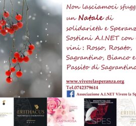 spes in vino AINET